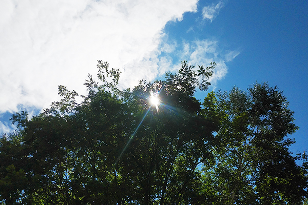 求人情報・採用情報