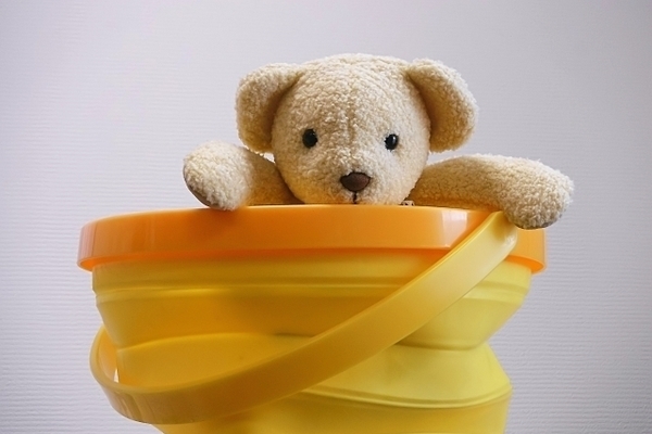 仔犬購入のご案内