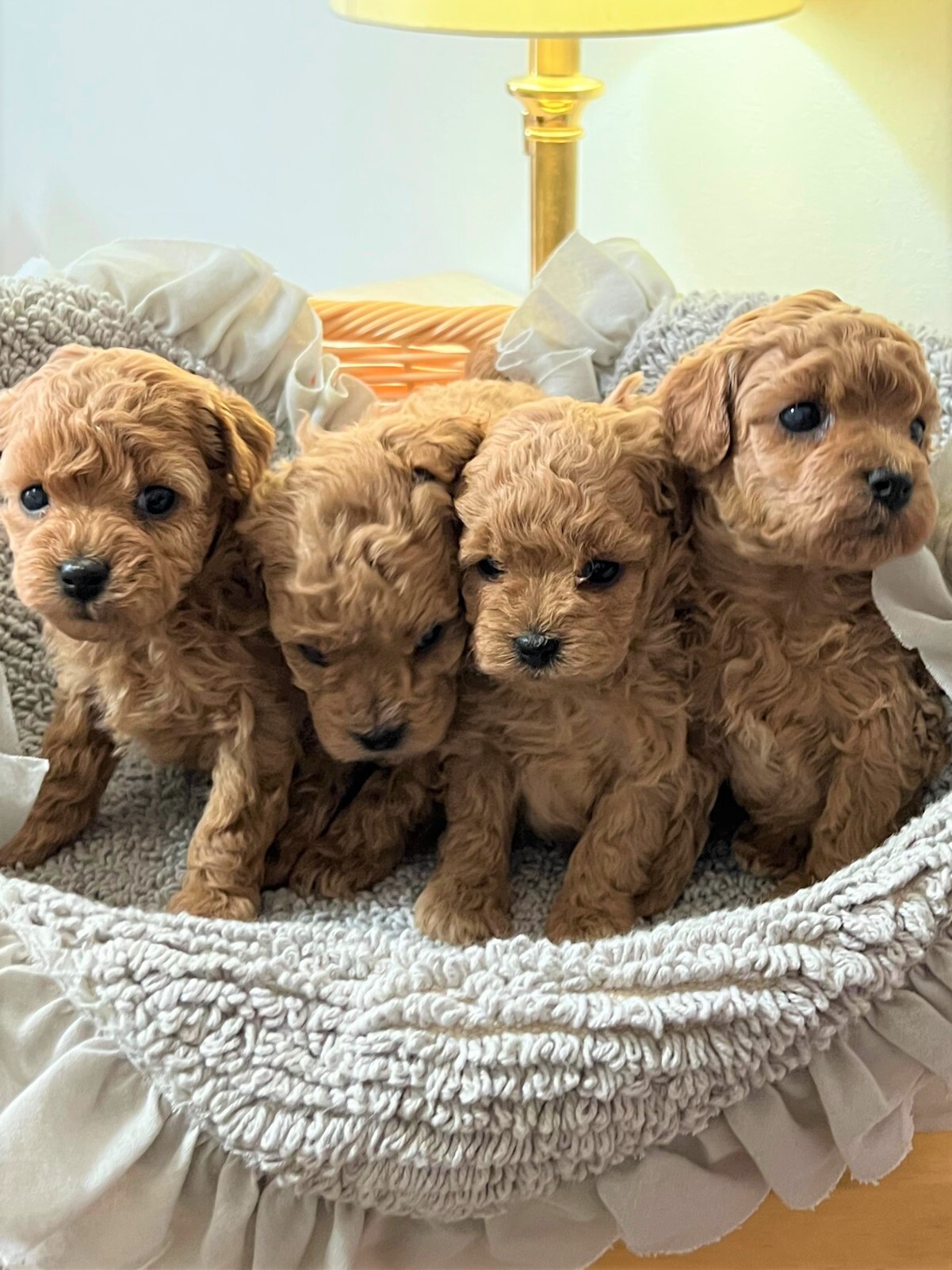集合写真1 (2)