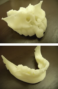 3Dプリンター硬組織模型02