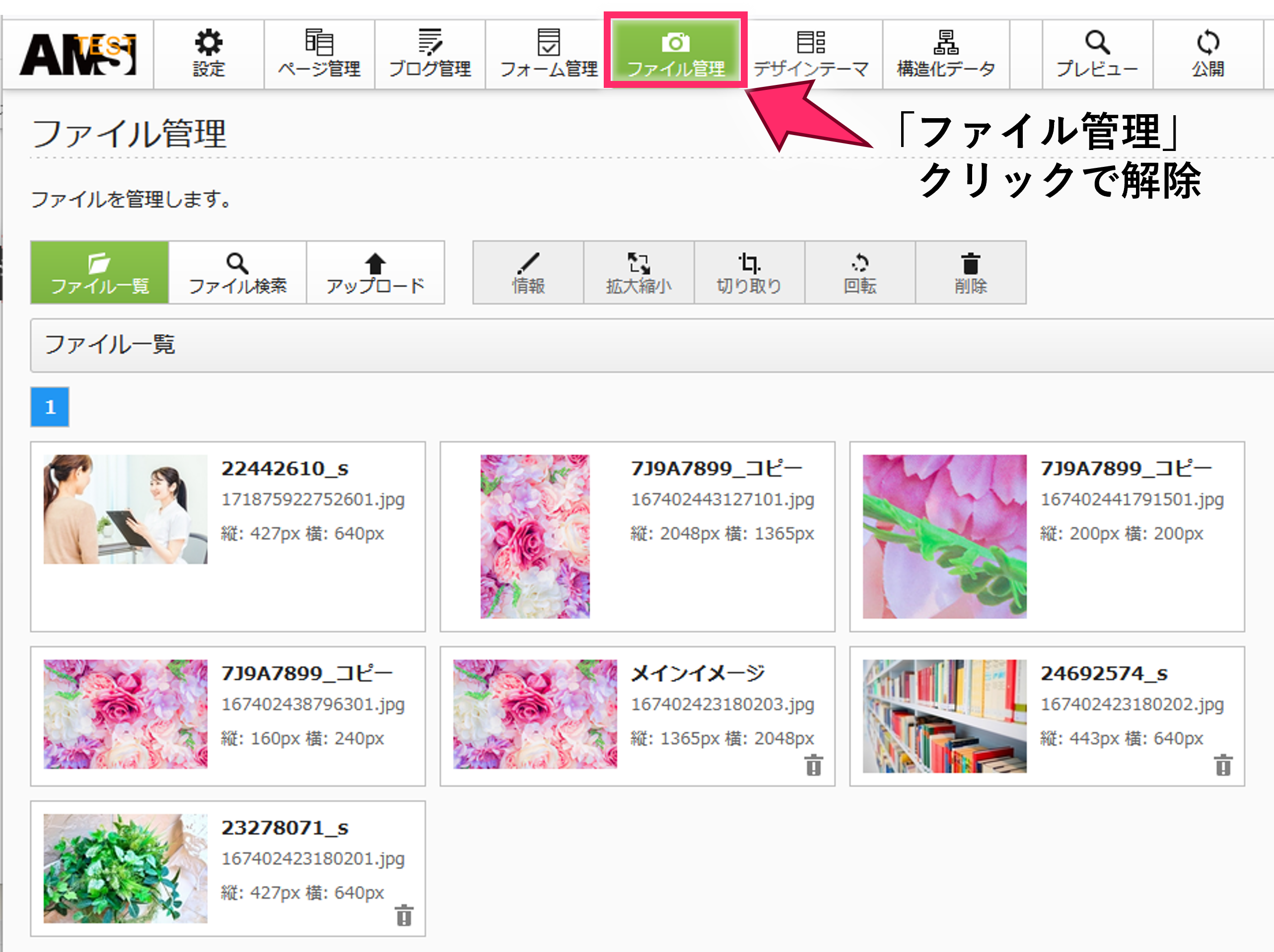 ファイル検索