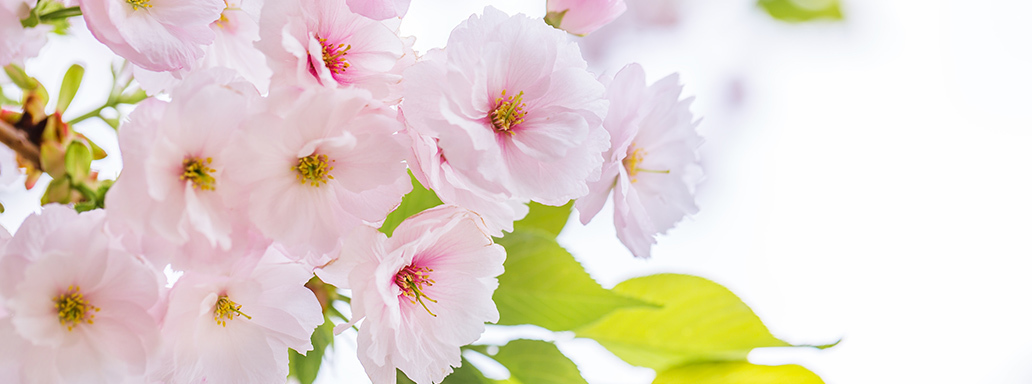 社名に込めた想い