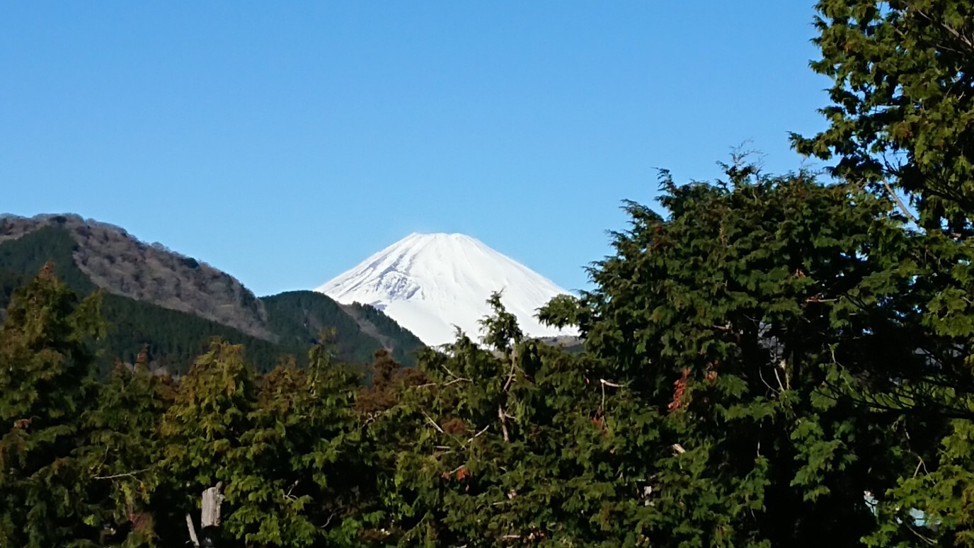 DSC_1999_copy_1376x774