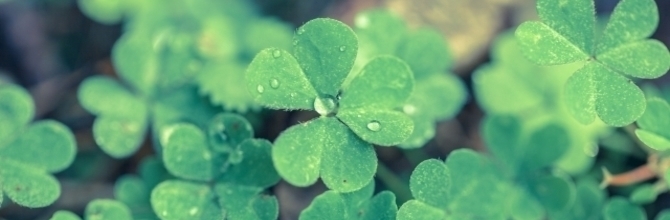 金沢労働保険事務組合からのお知らせ