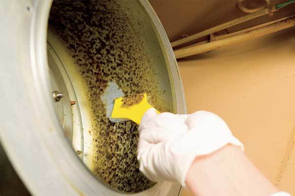 レンジフードクリーニング4