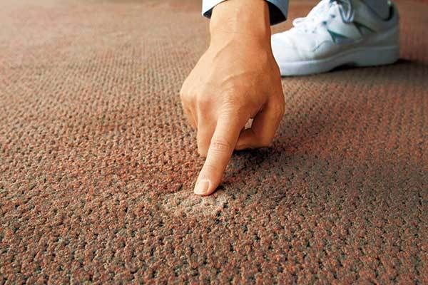 カーペットクリーニング2