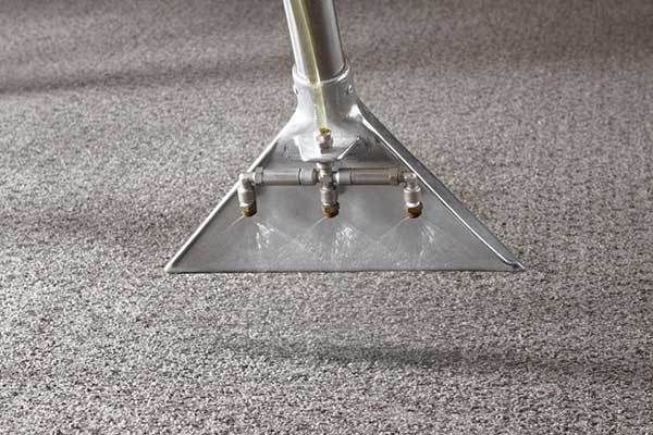 カーペットクリーニング5