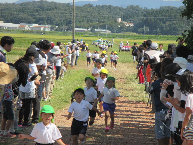 農道マラソン