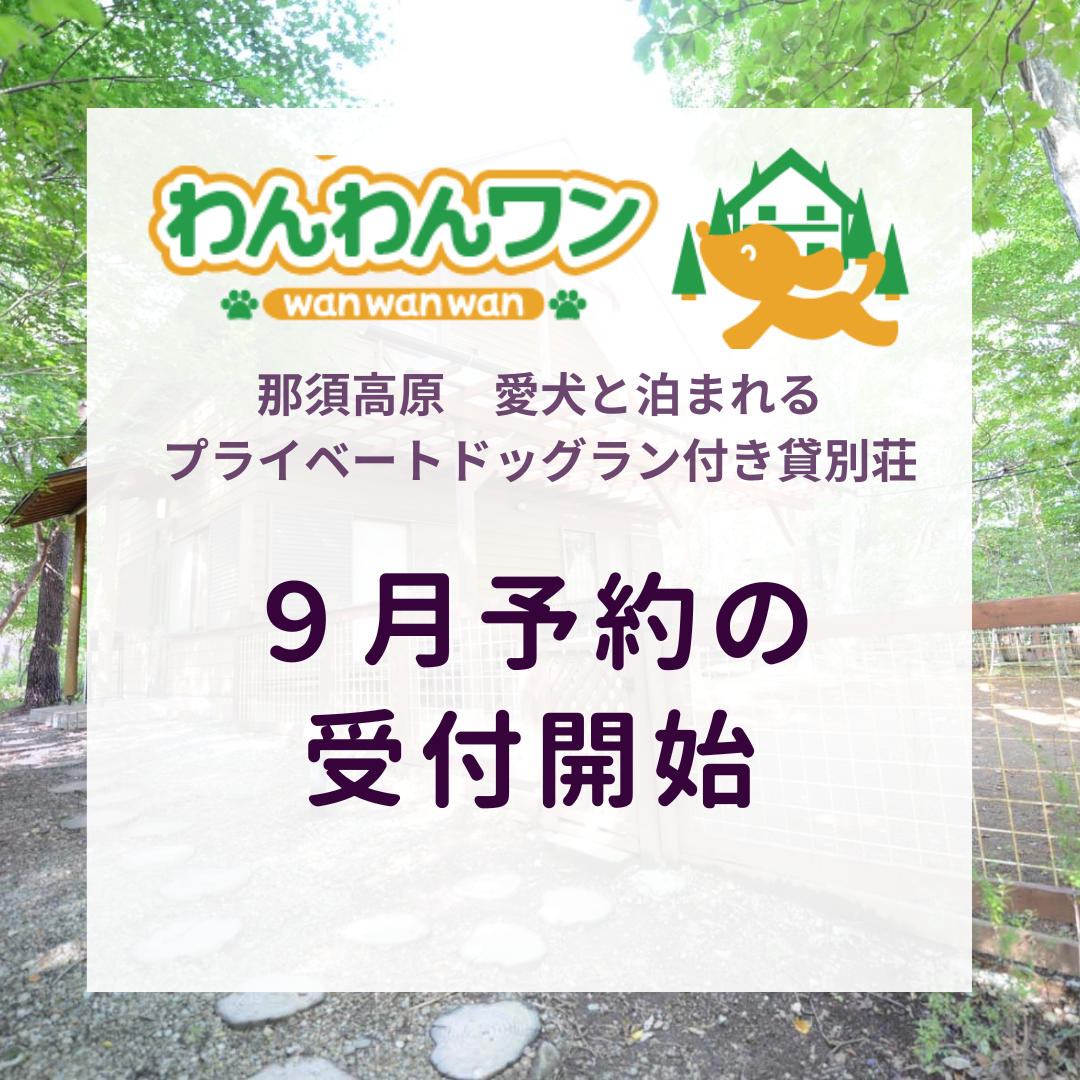 インスタ投稿  予約 シンプル 紫 水彩