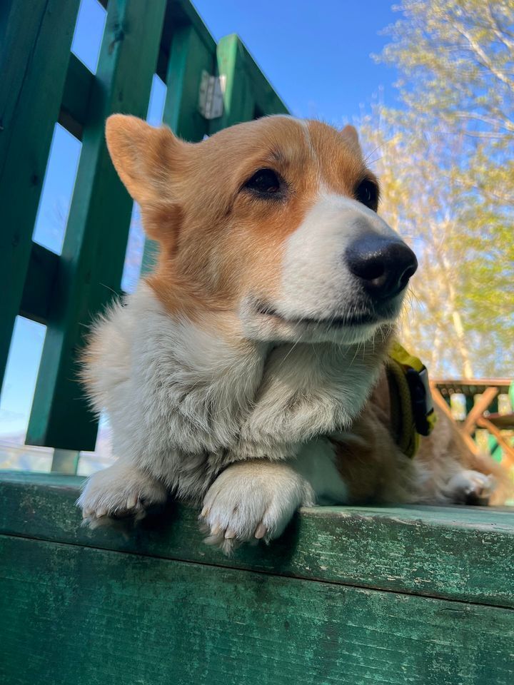 440470822_839940391291586_4643776502657808788_n