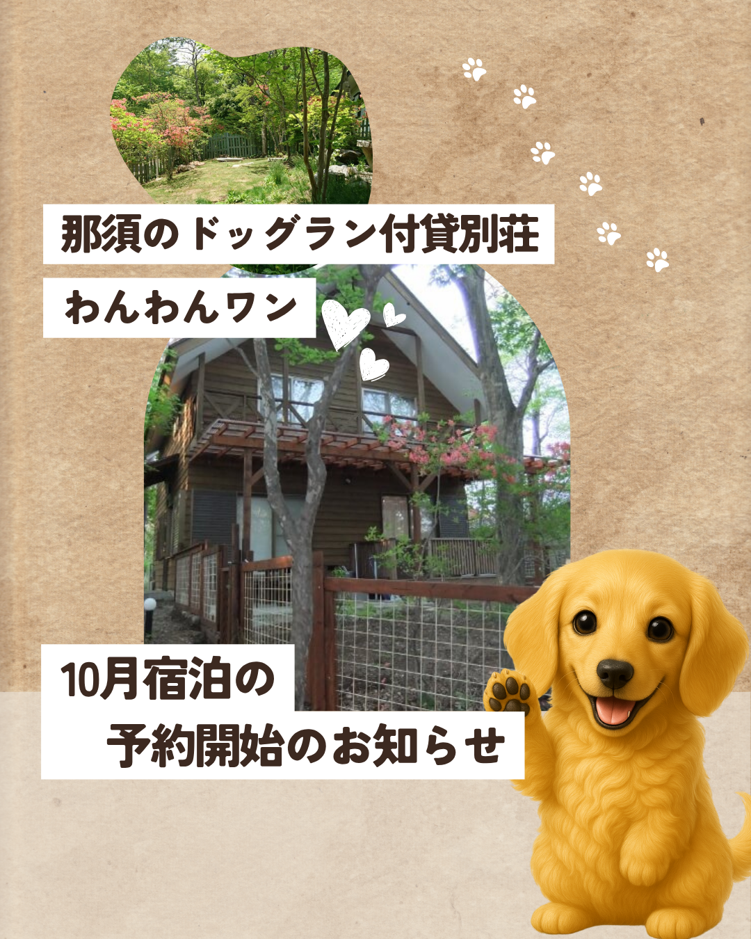 わんわん