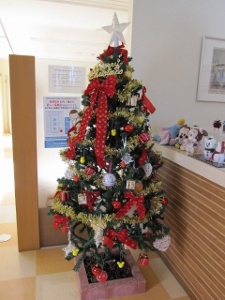 IMG_0313 (480x640) (225x300)