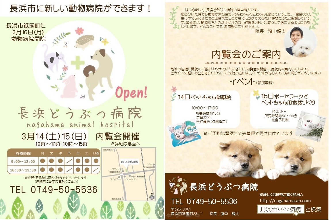 開業チラシ裏表