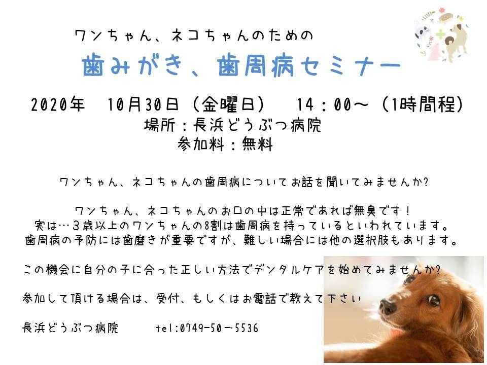 デンタルセミナー