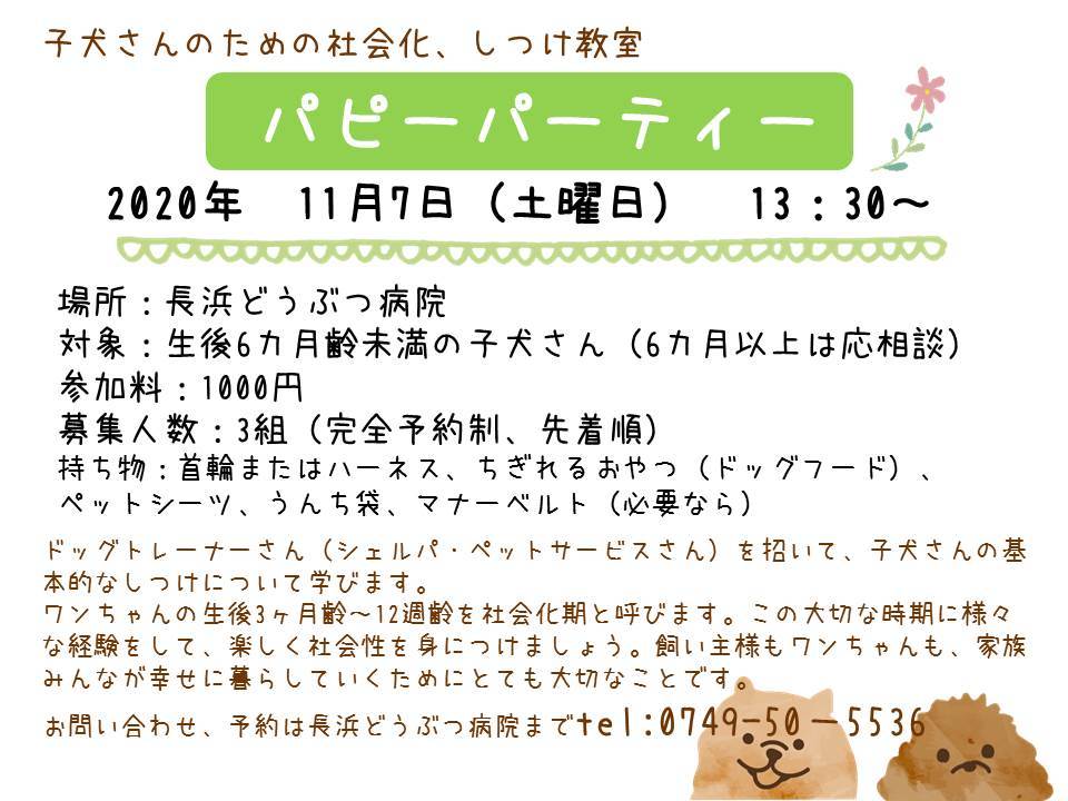 パピーパーティー