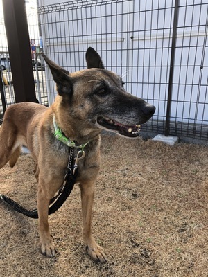 048A43EA-F44B-417A-9E09-76B8822743EC_コピー