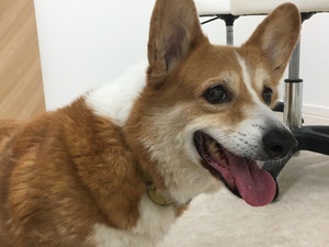 F6B464D2-E623-4E88-8747-0FCB6621784E_コピー