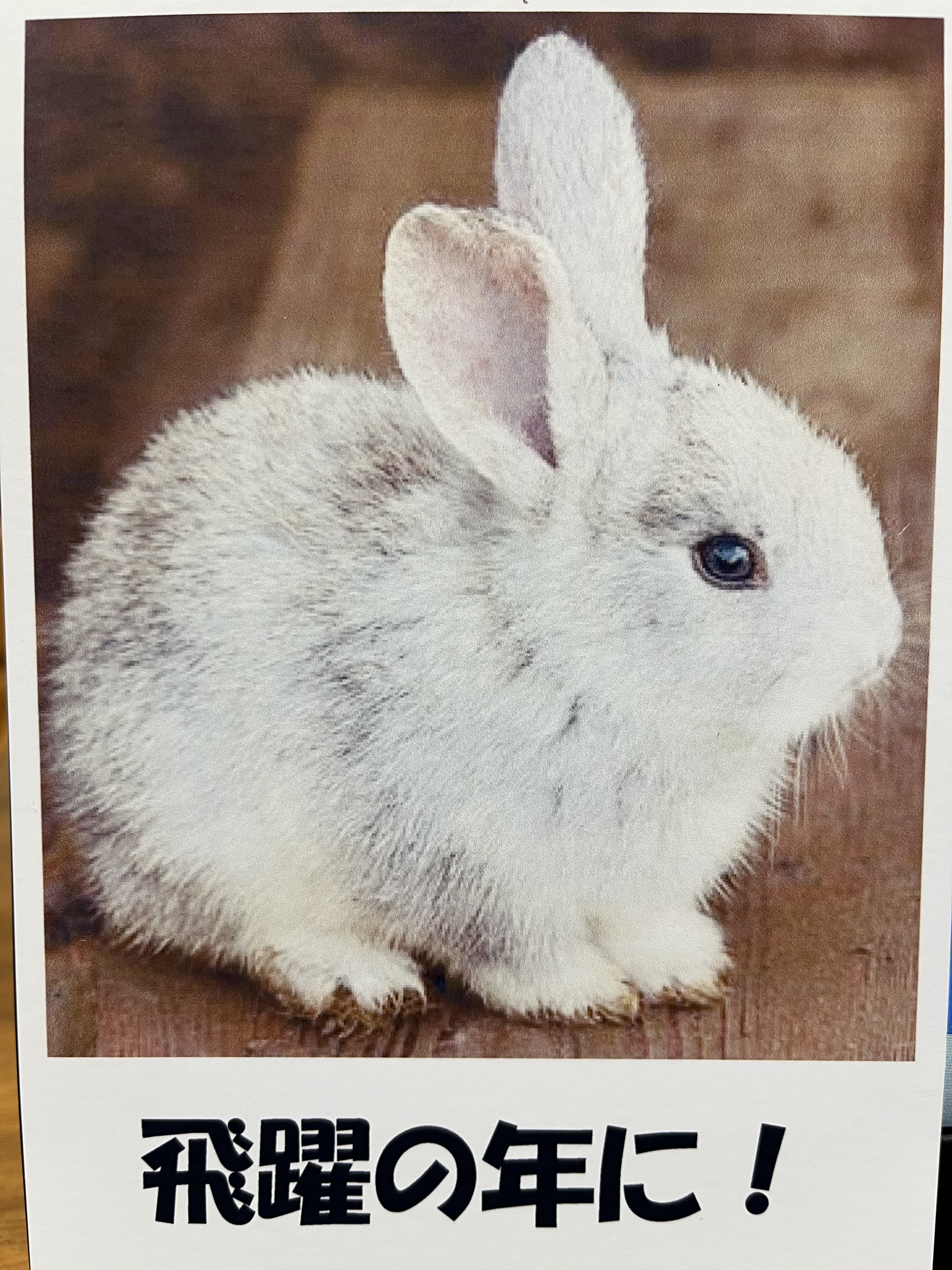 A6905D6C-CEB5-437E-BF1C-C781F2F0490A