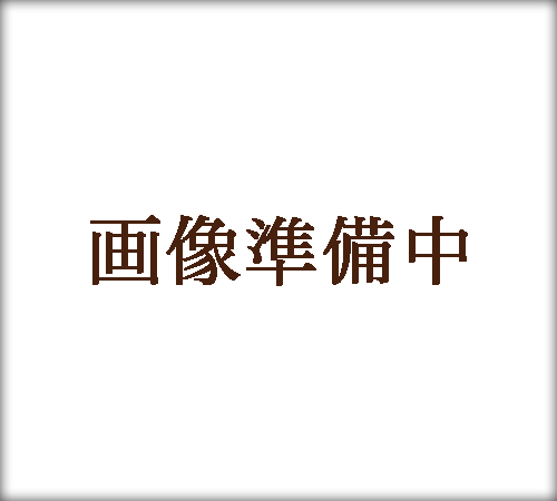 画像準備中
