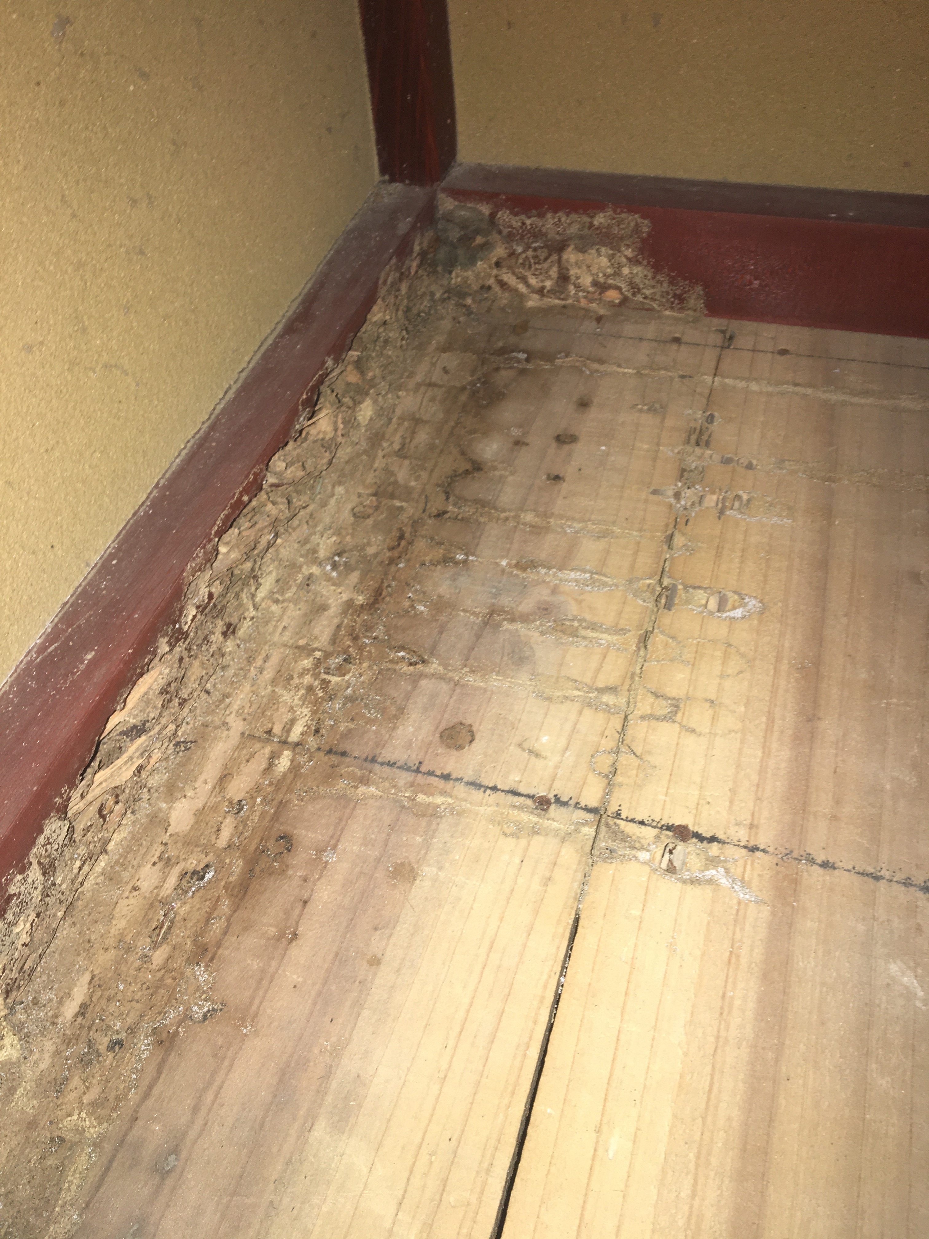 CD07A98E-C936-41FB-B72E-1FD85CC88892