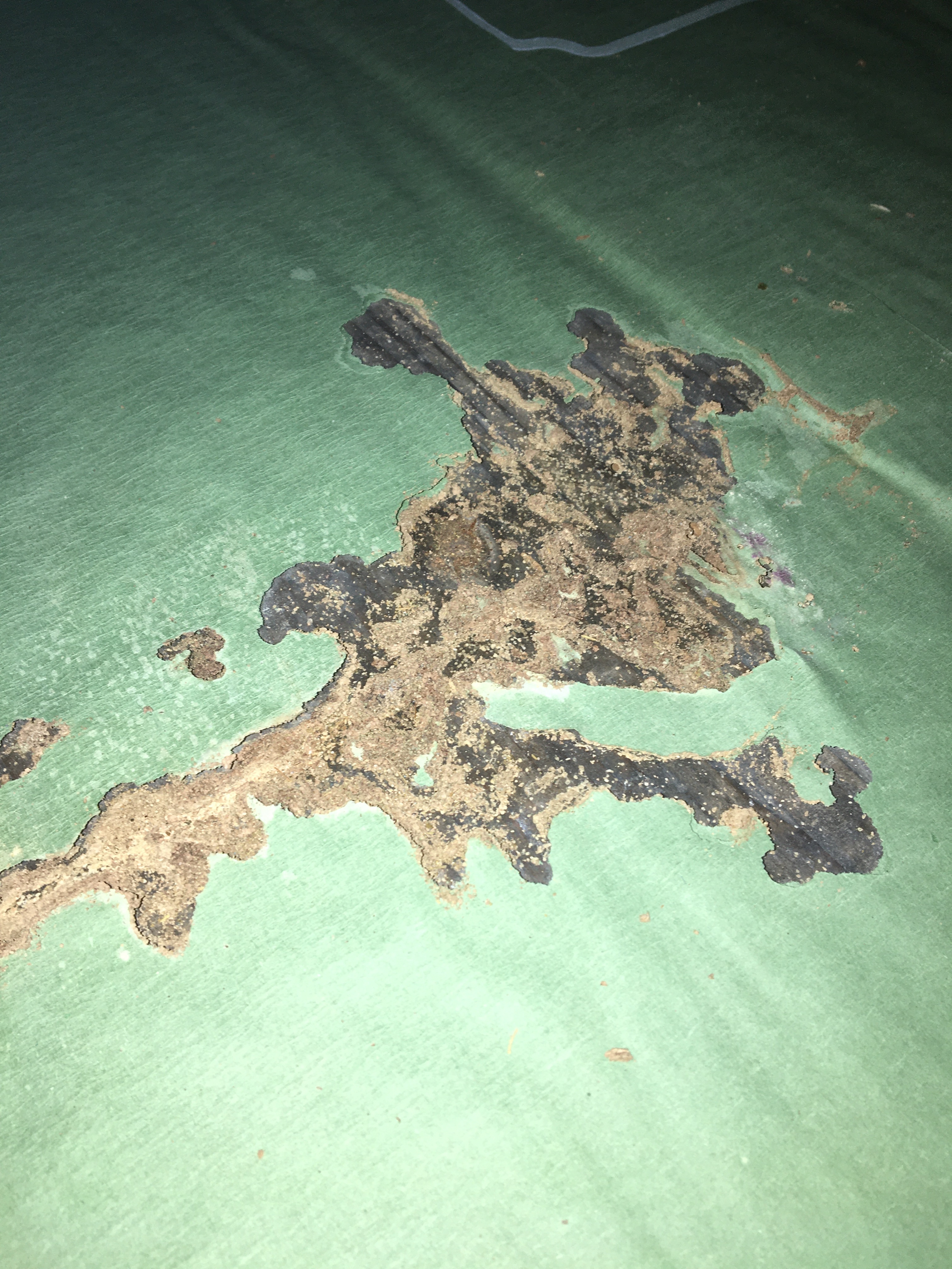 363F6EC8-F6DE-4C2E-8ECB-0C48B1407B5A