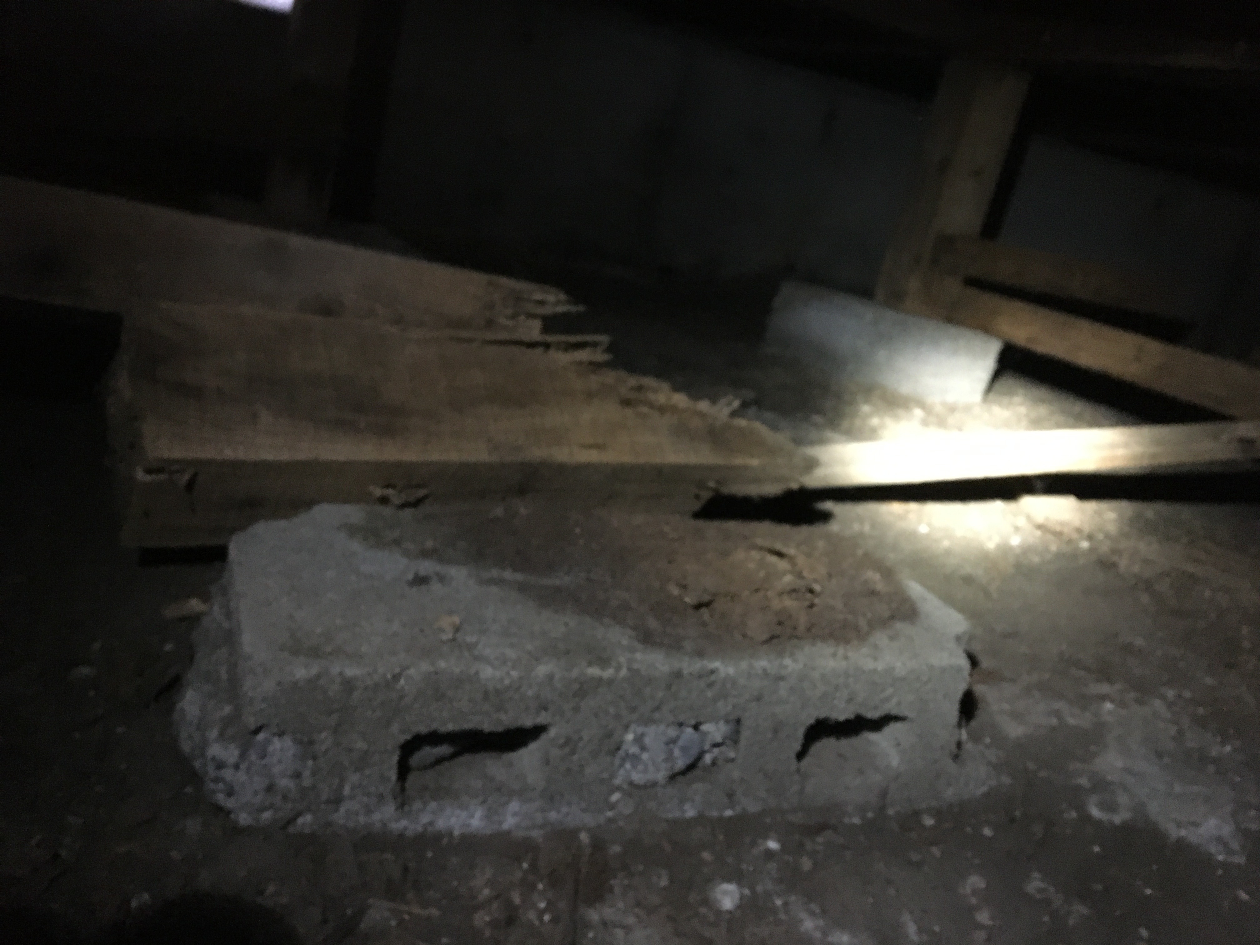 F16C29AA-69BA-42F6-9C09-5E0B9FBD612E