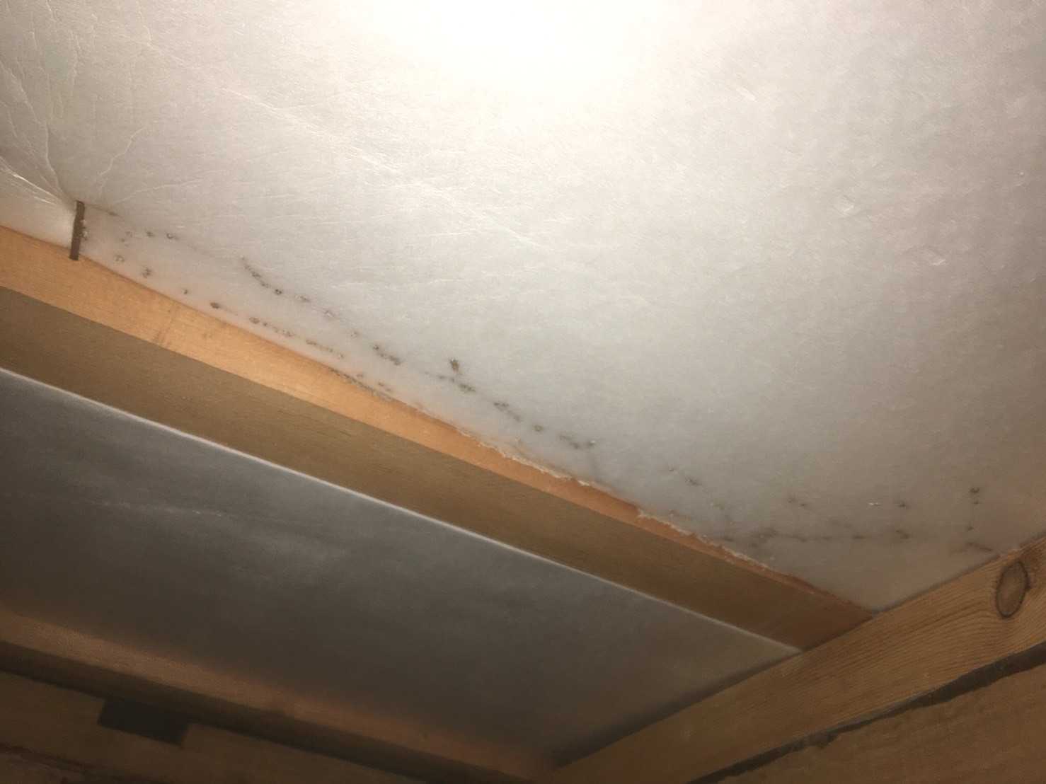 F247D0EC-A2AC-475D-8513-E37E70C7D145