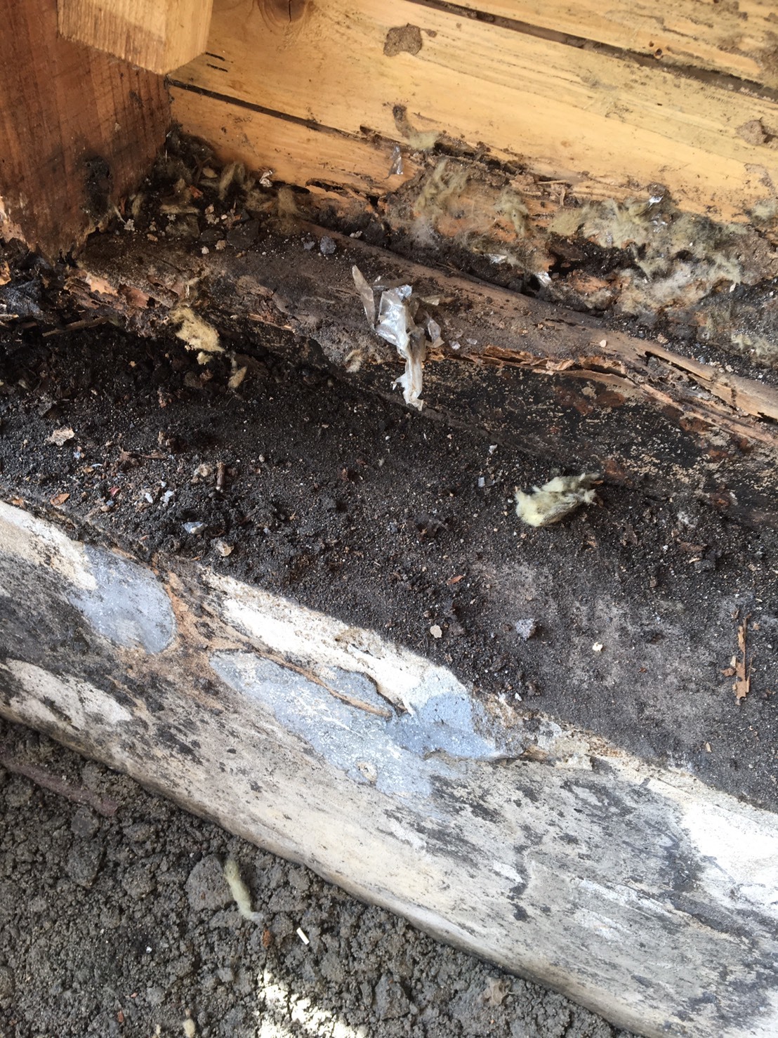 B8C8171E-25DF-4E8C-9B8C-7974ADF1D1DF