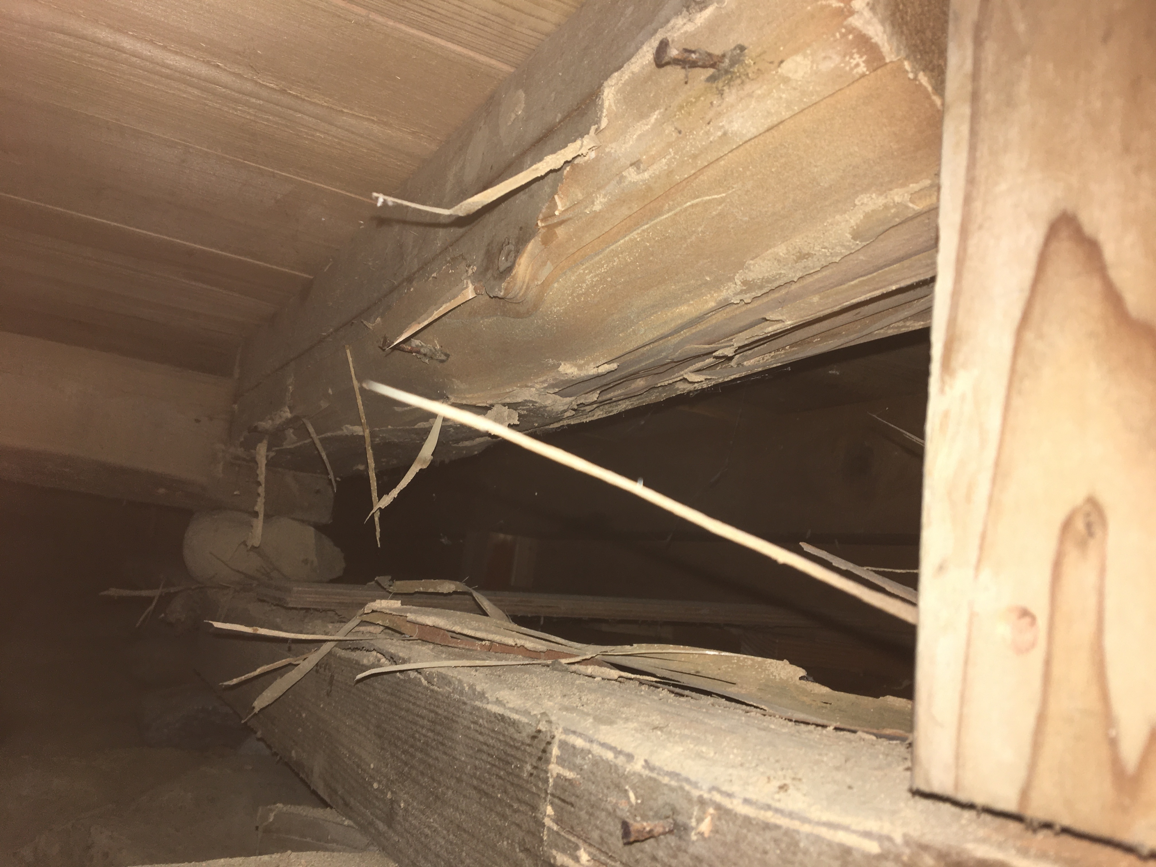 002BBBE4-6B10-4E3C-848F-EAF3FA294330