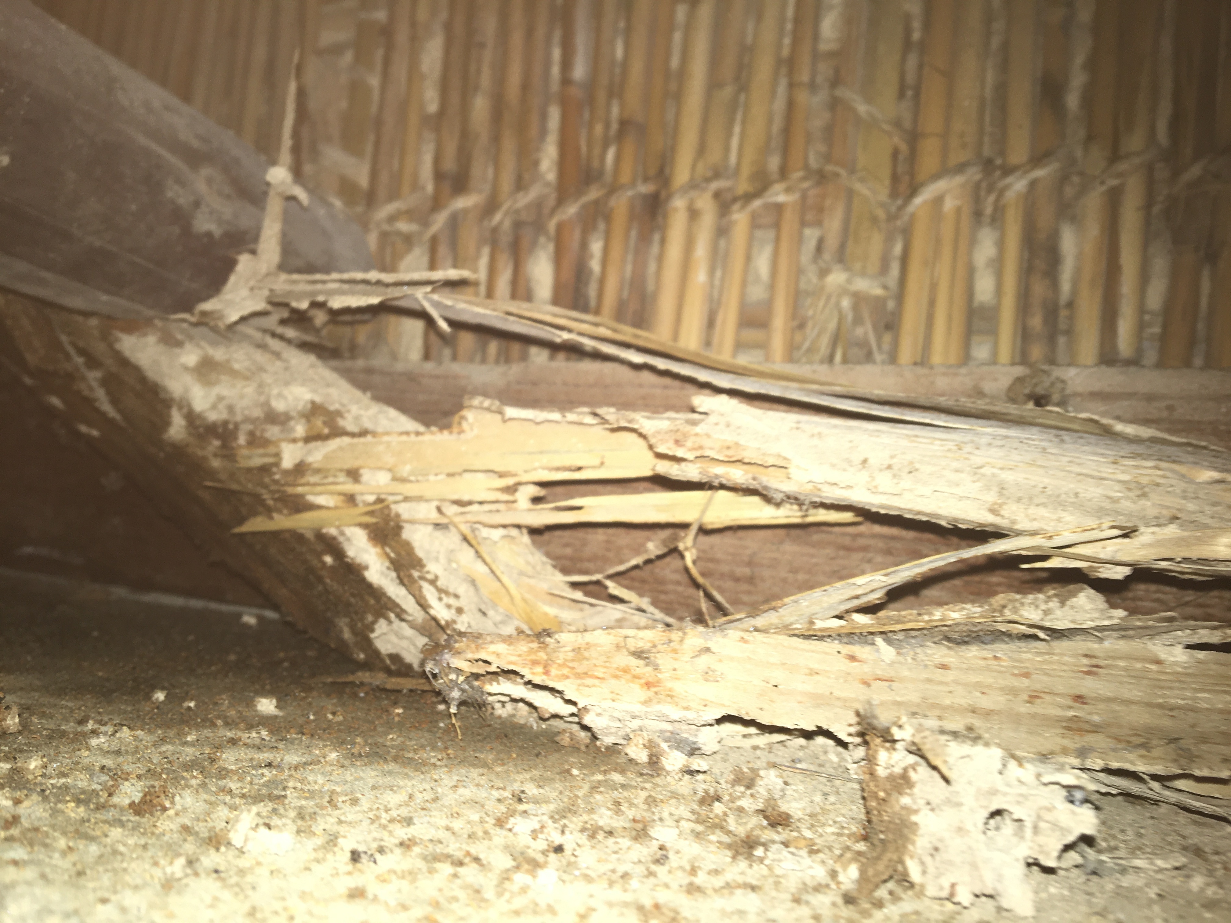 826DD379-4518-41F0-BE22-713EA9B0CF84