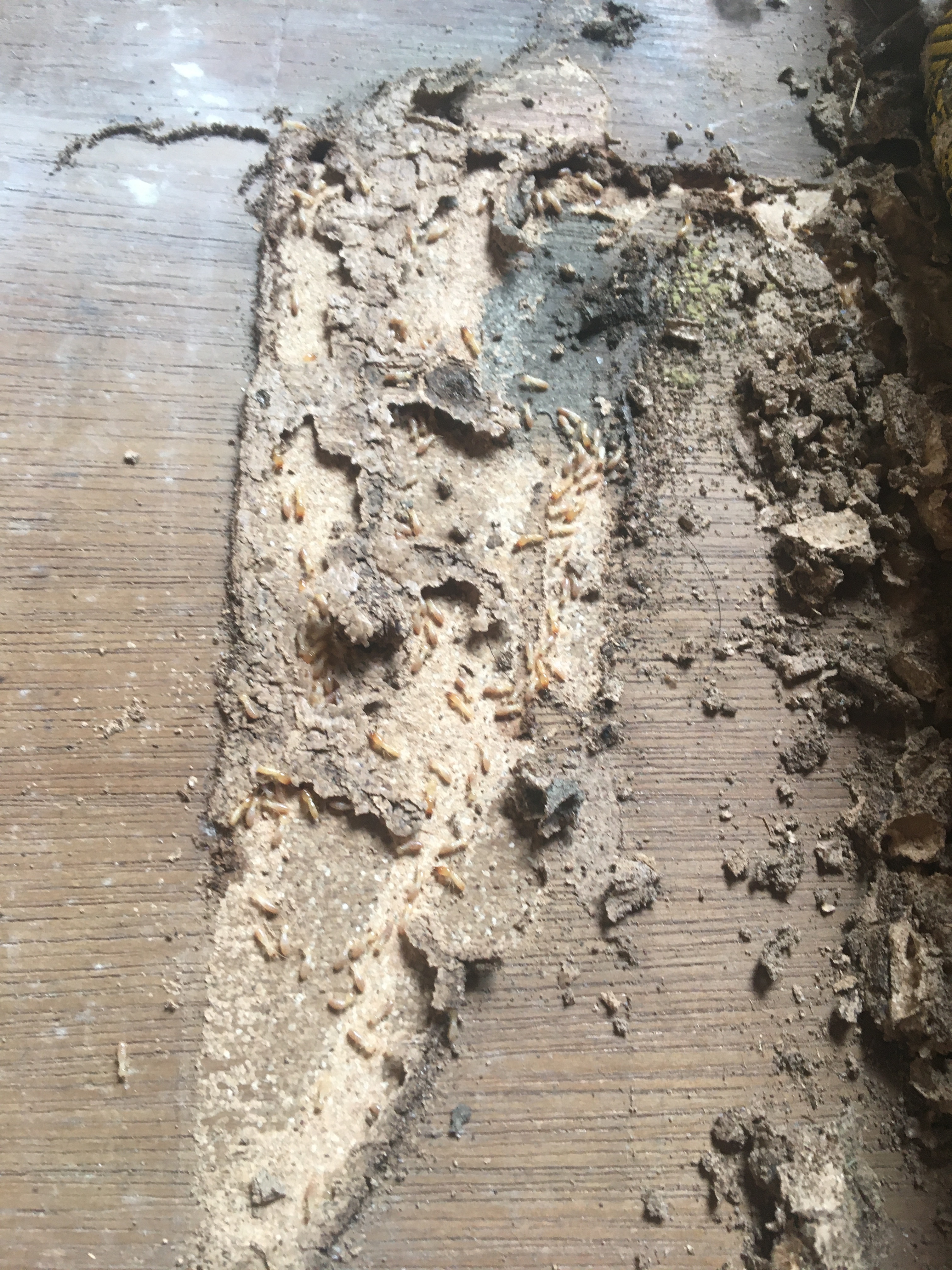 061CAE72-B311-4D00-97B2-AD22CD5C8904