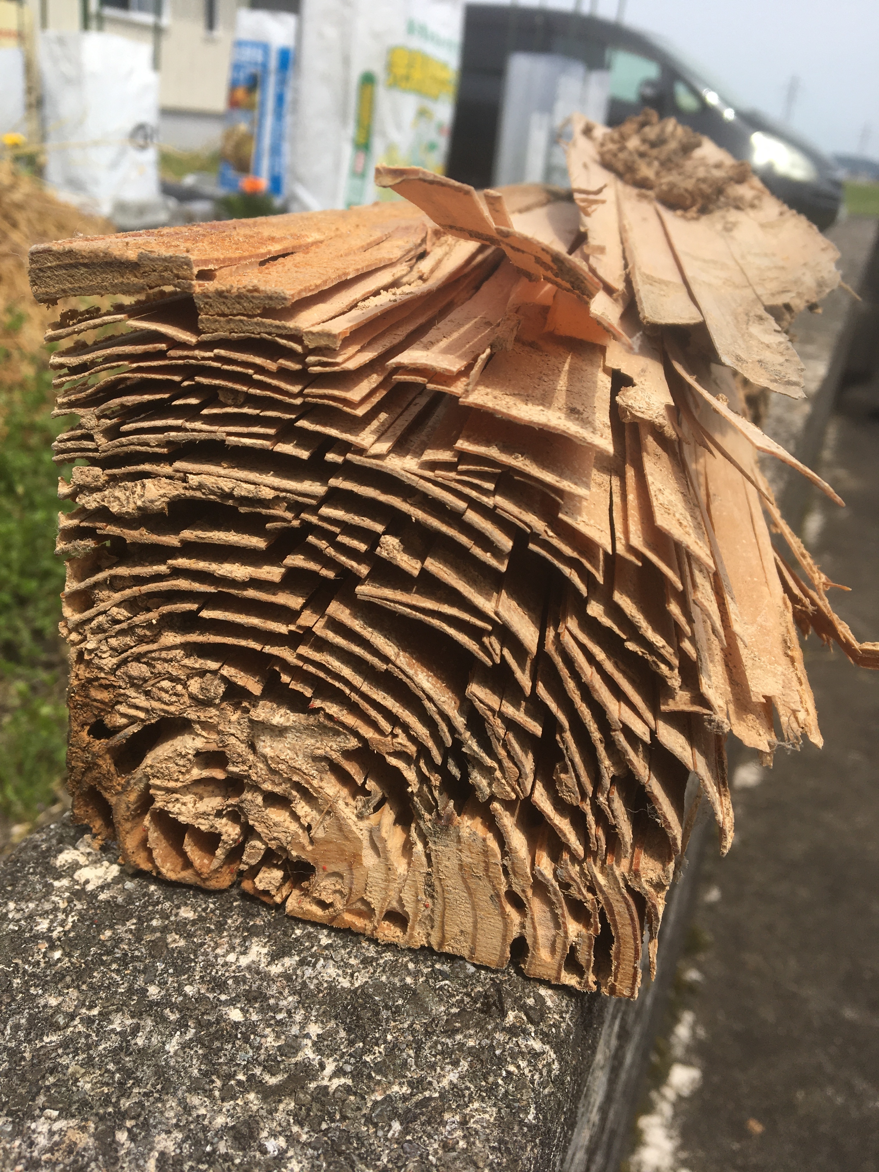 19F17B19-6220-4639-98EA-CD16369A8206