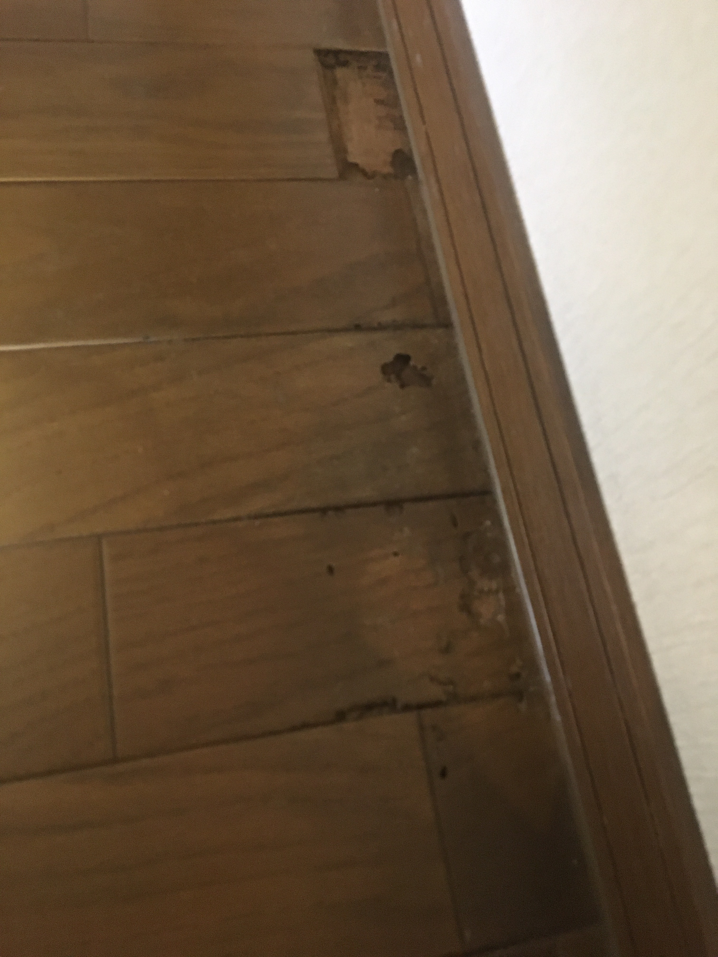 ACC5B218-C7A3-47E9-960C-43CD916D4FA7