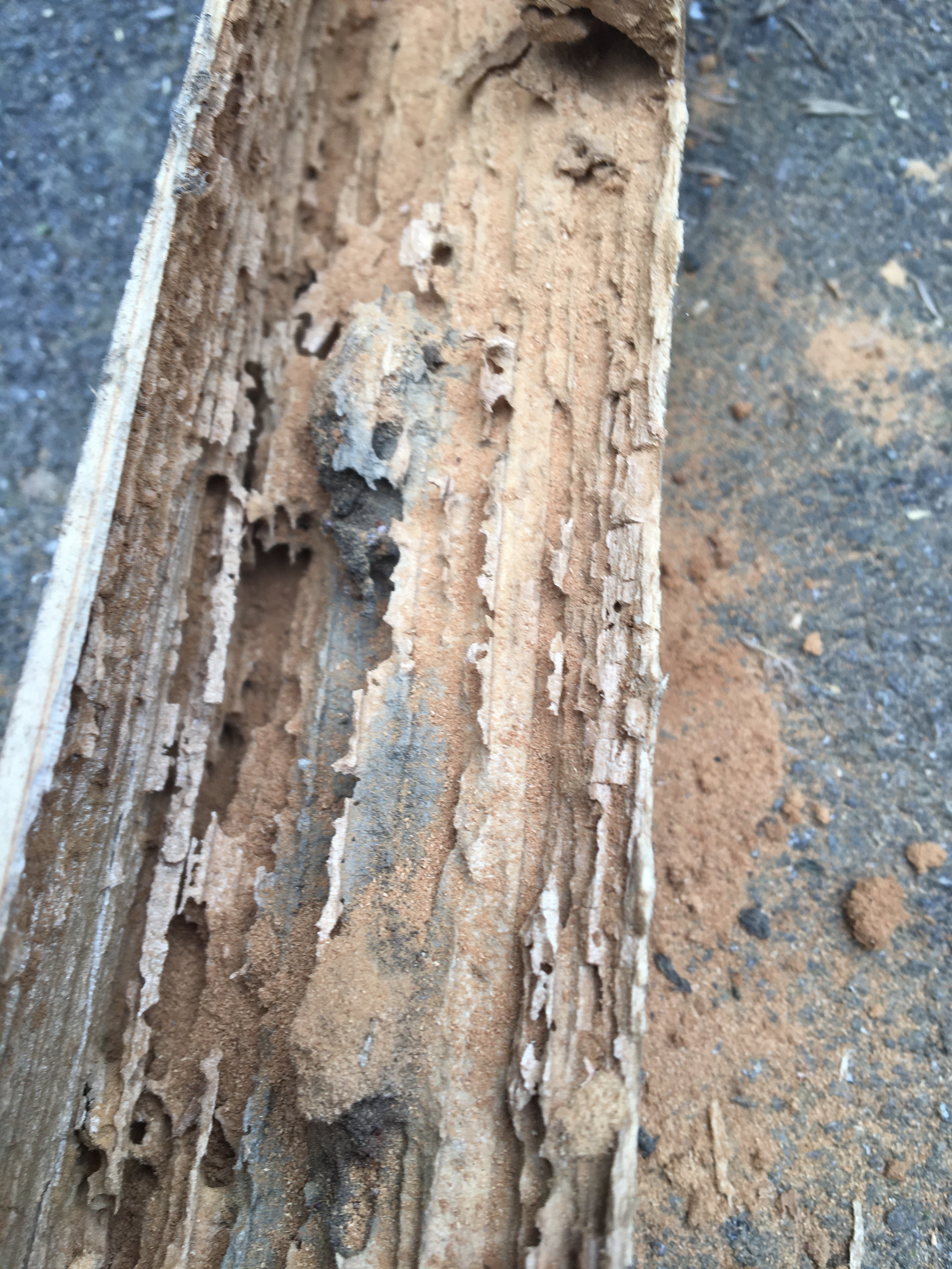 DA37CC63-472F-440B-B8E9-E89279423A11