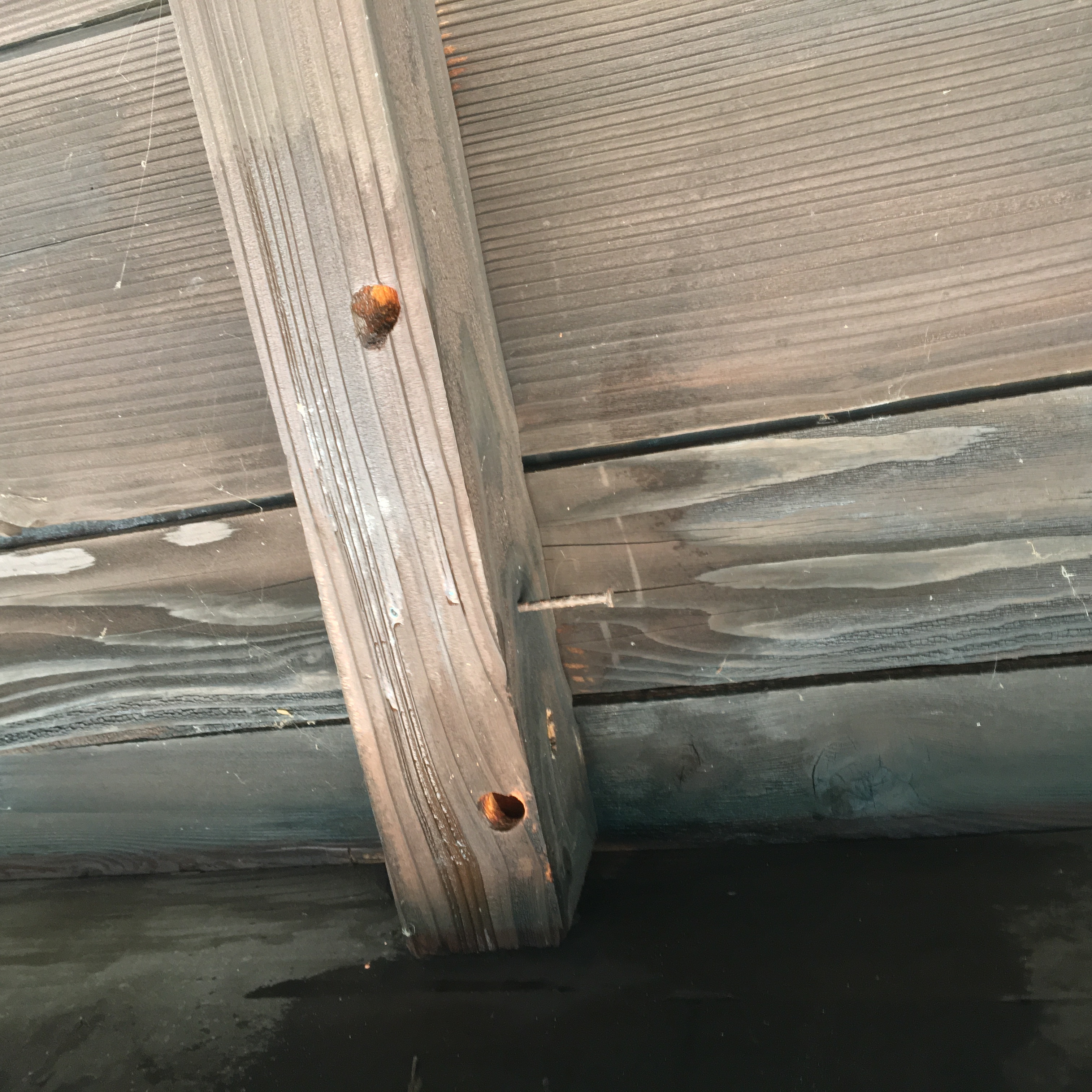 DDB193C6-1336-4835-ADC7-A36E93D99938