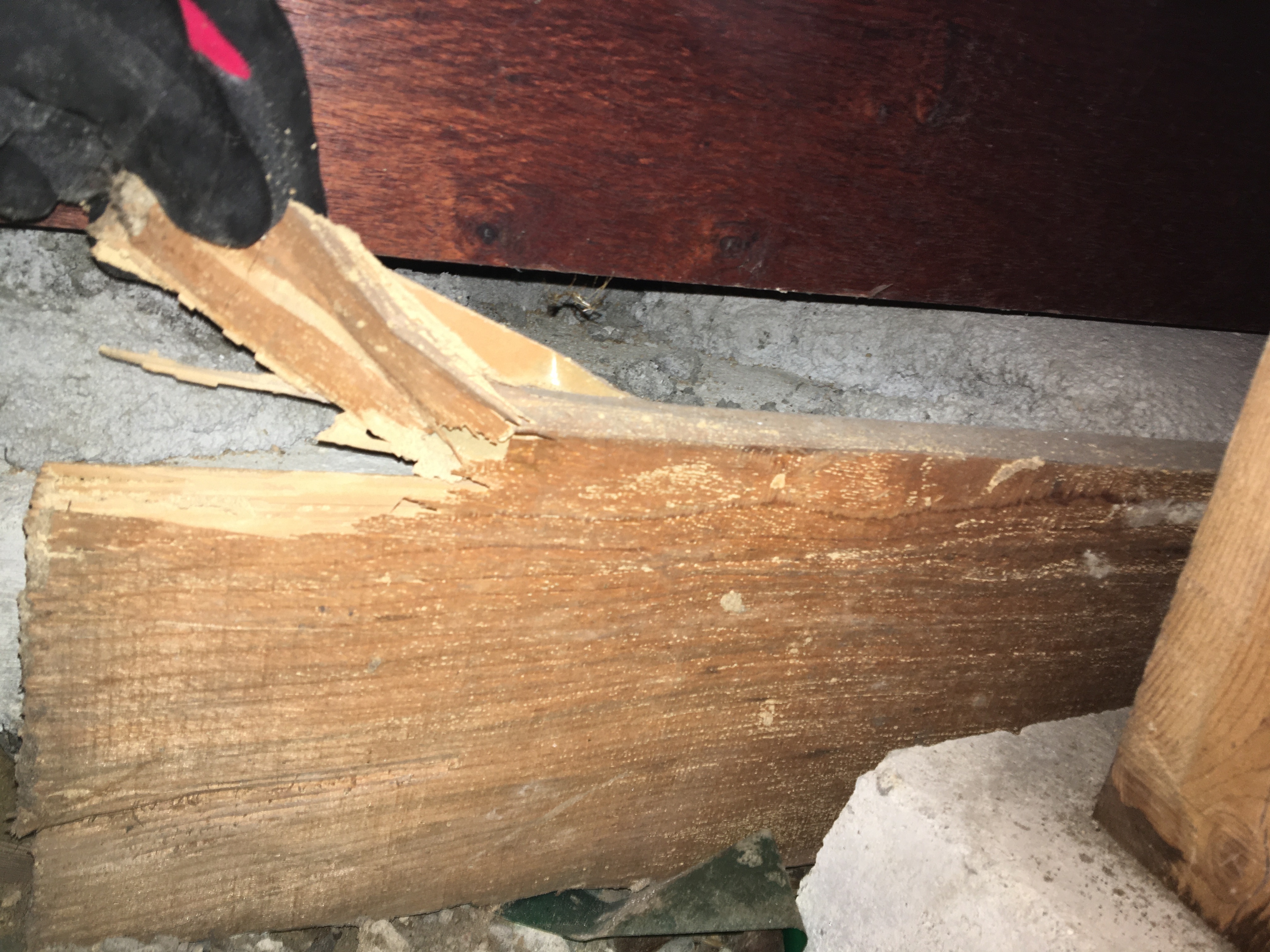 3EC4E170-4C6D-4E84-B23D-BB8F488DA94F