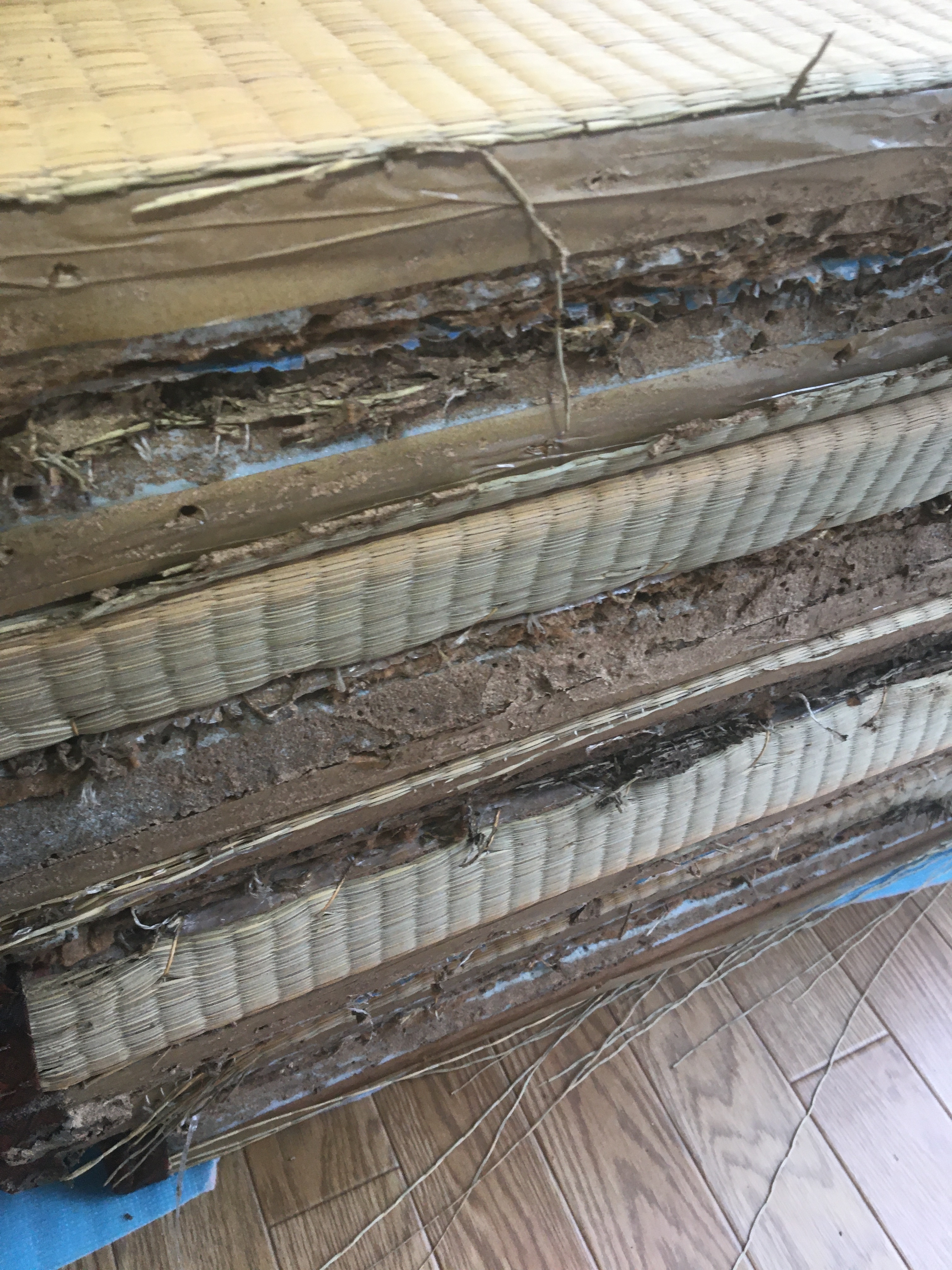 2DAC7DFA-26EA-404B-A6D8-3F0AAF29DBBE