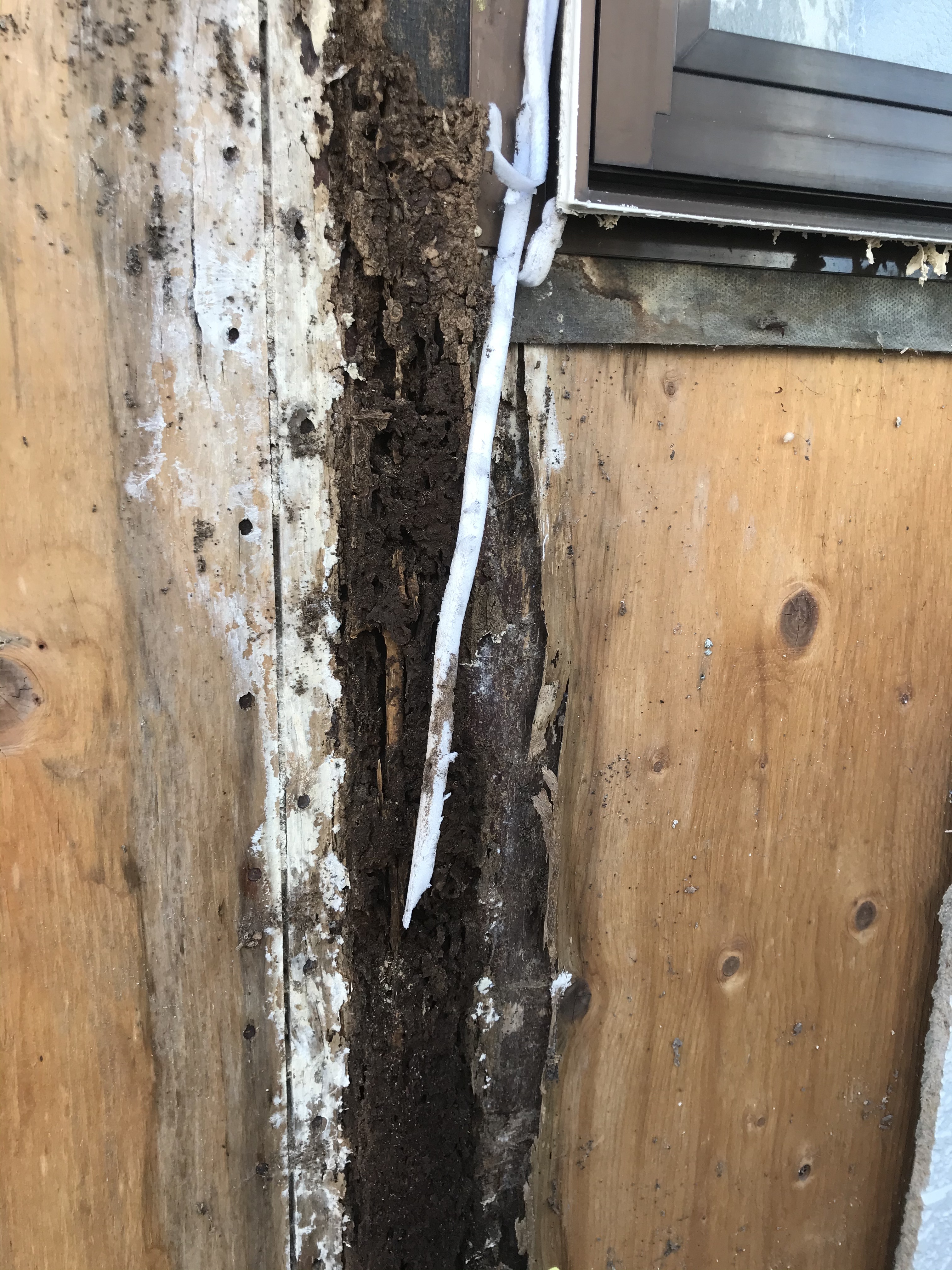 41B08302-2123-4B30-8F81-C30B0DE75380