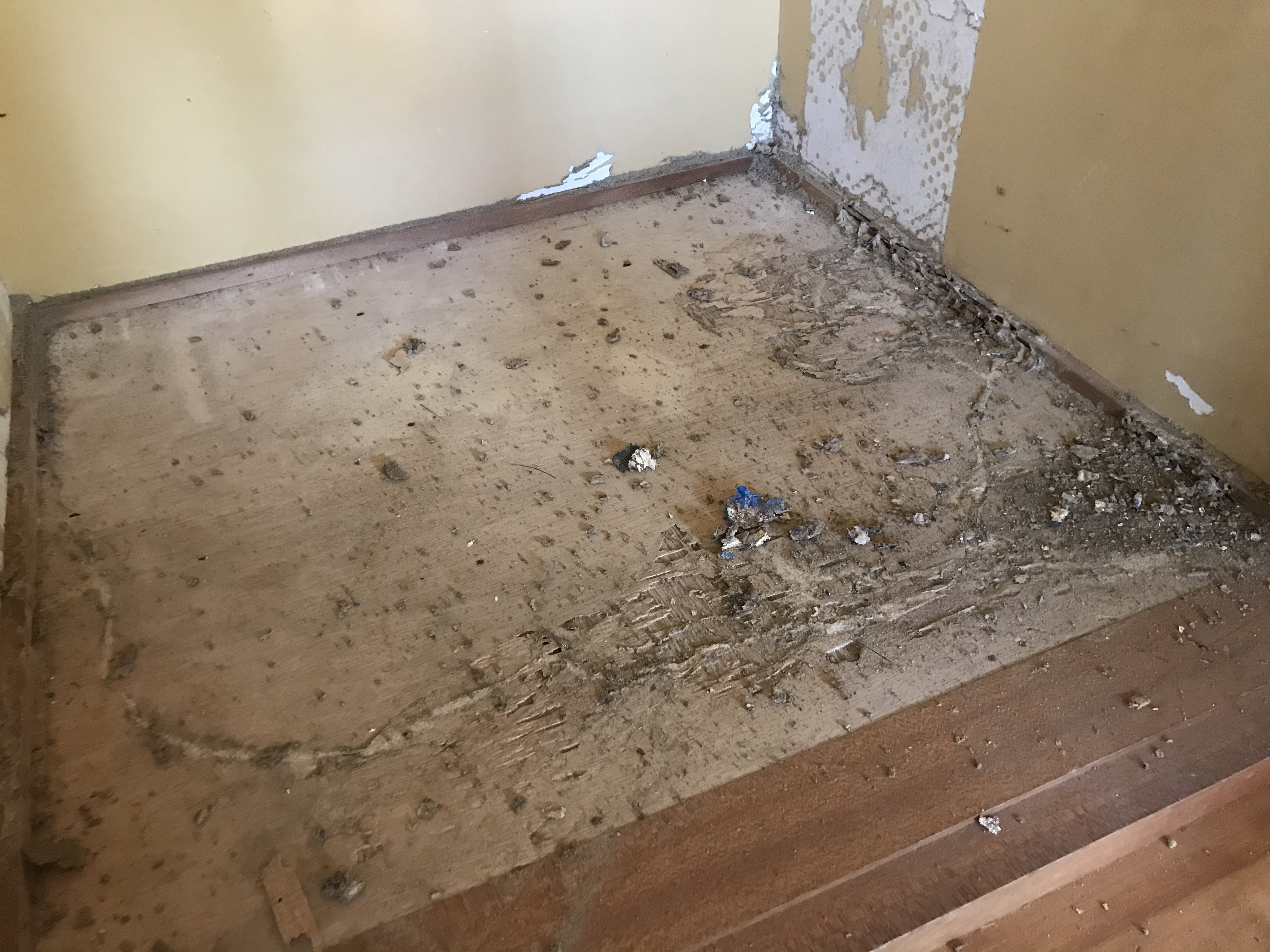 F4FCB3BD-C438-4756-82C9-523C269CFB26