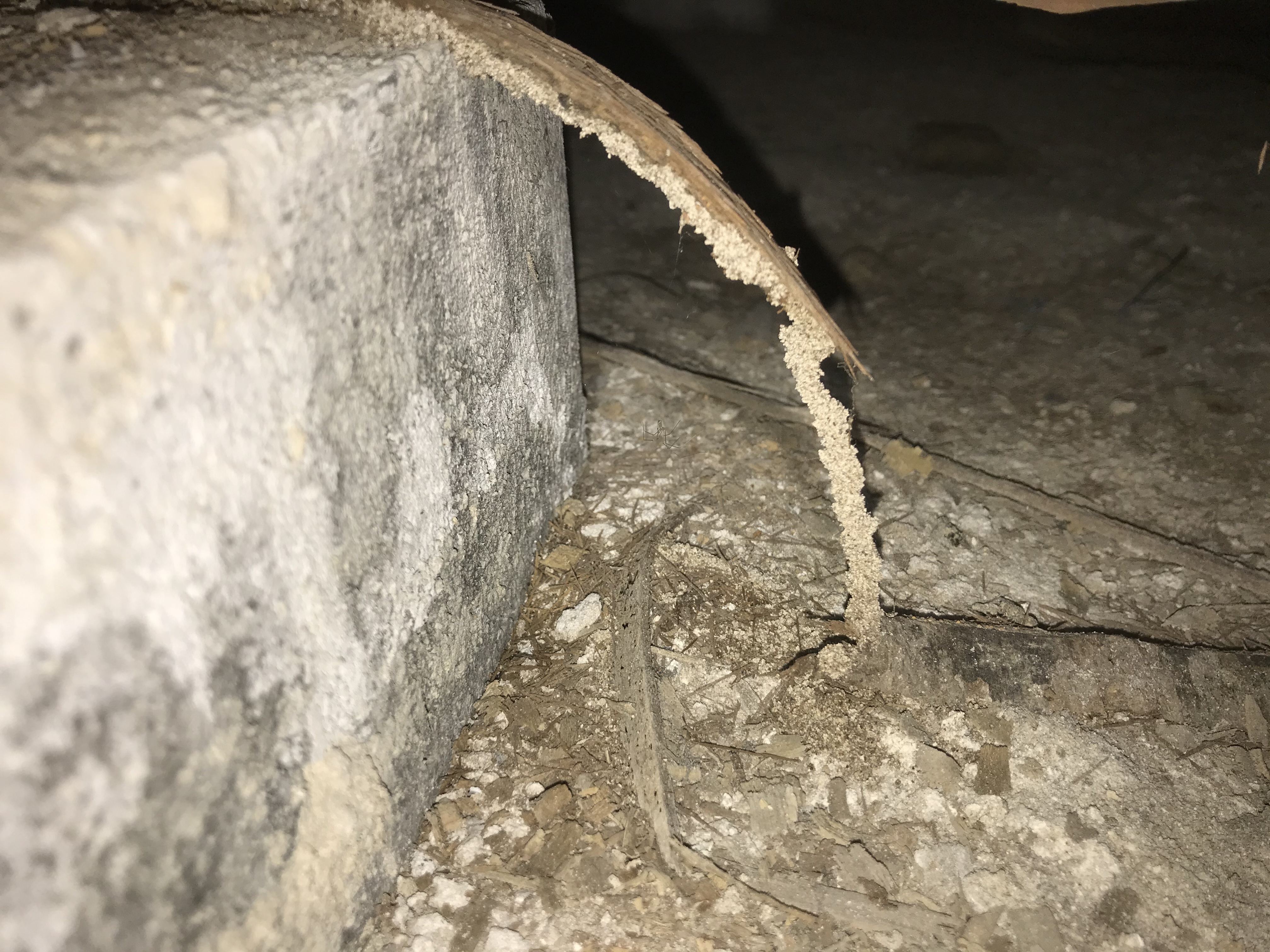 A516687B-3AC1-4C68-97A7-57B91EC32EC6