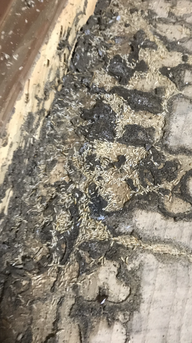 457FAA05-0B20-41B6-B6D6-349E06043C7F