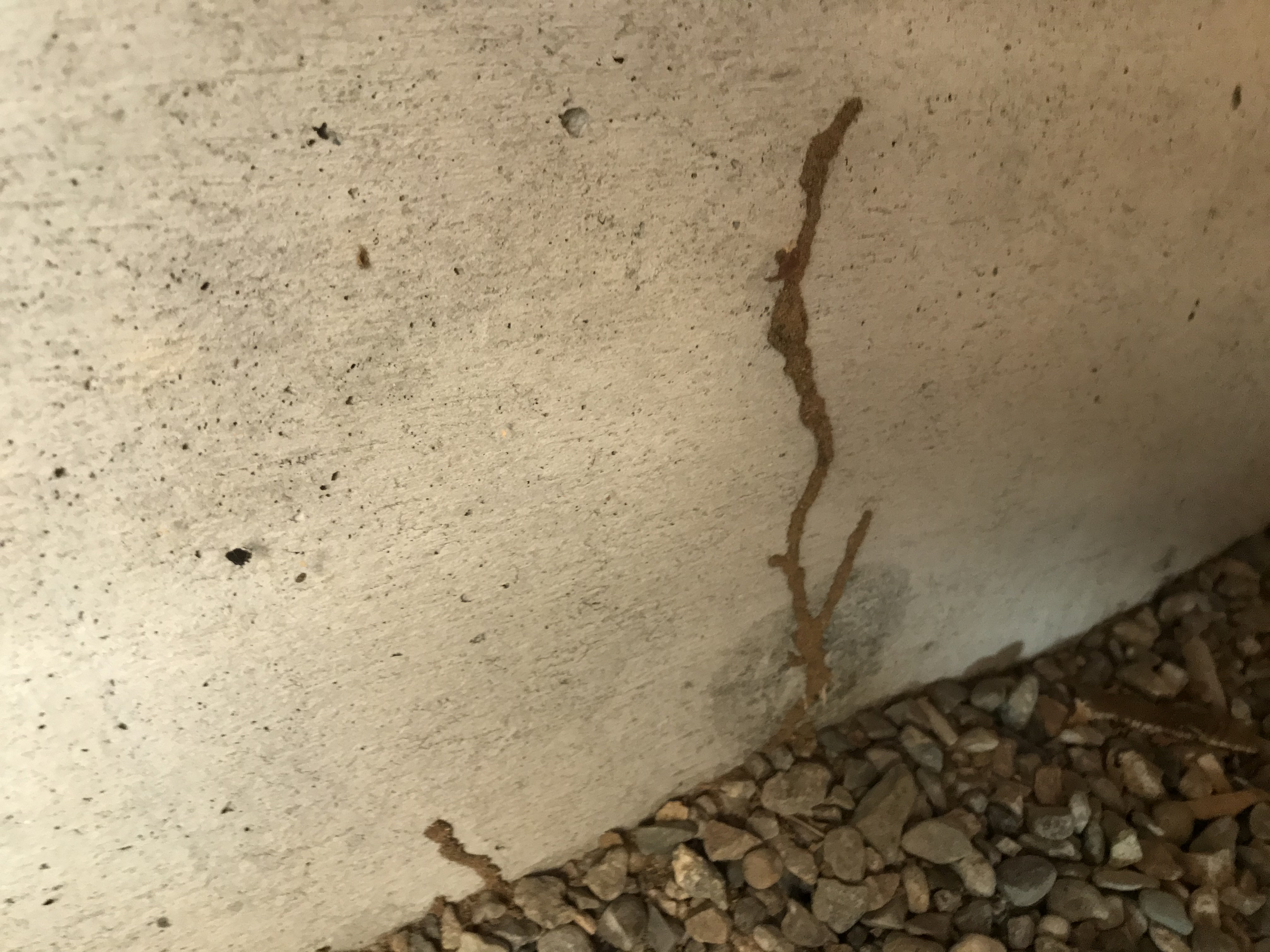 BC9D1931-2496-4FA6-8BB7-524BEA0BACCC