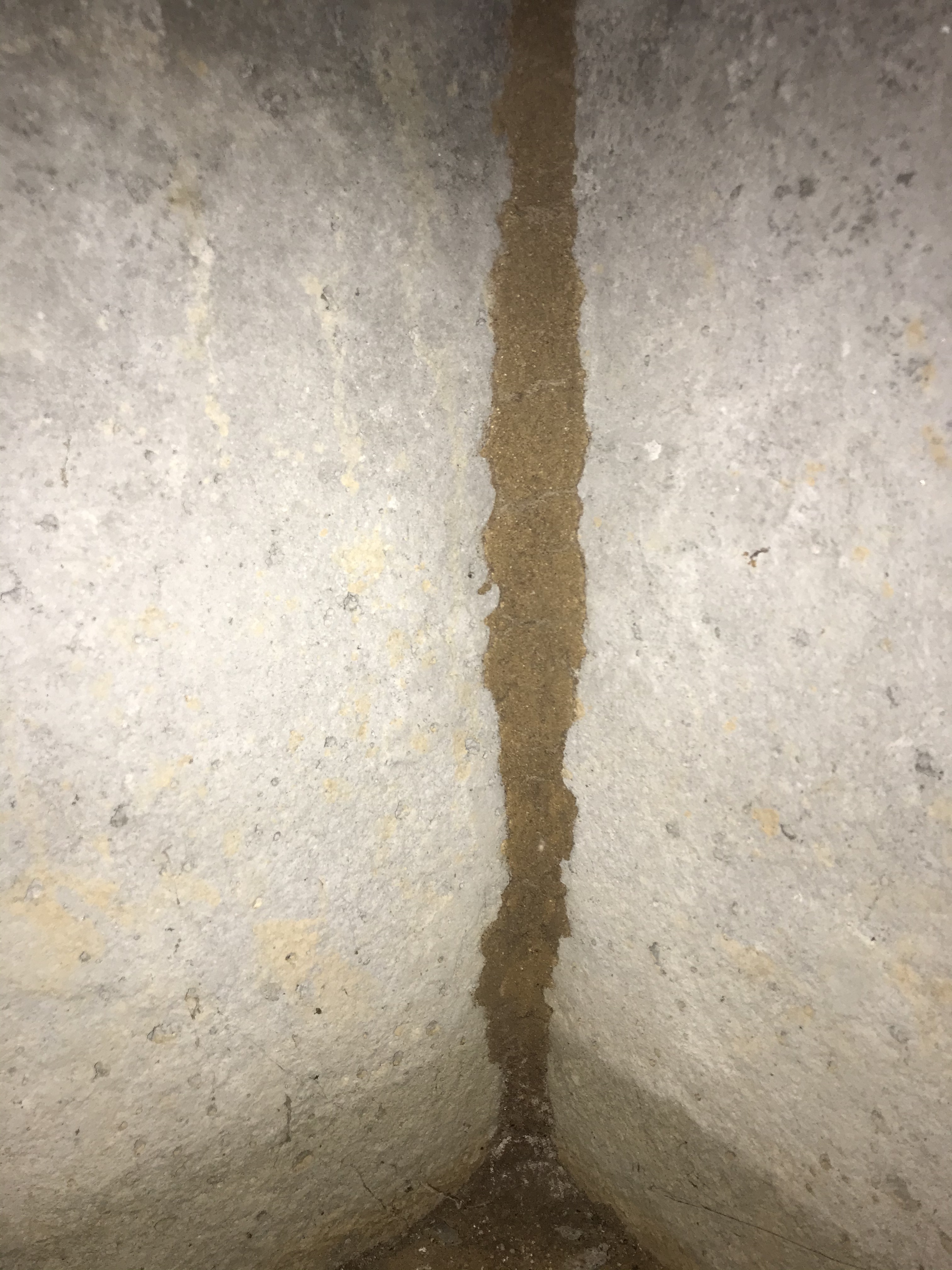 4172F053-EF26-4447-963E-6357E3F86559