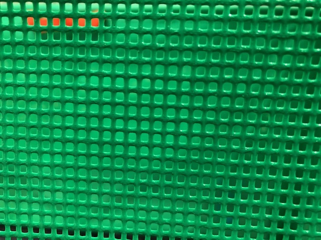 エステルターポリン