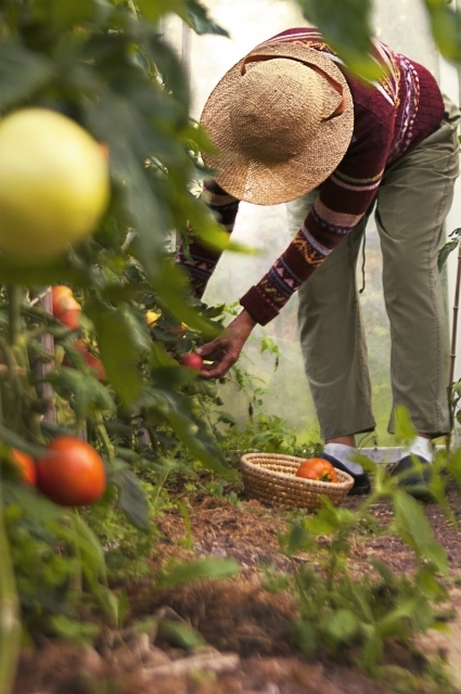 お客様の声から
