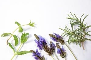 6b1a70fc5582c219fba9abb79aa1ec2b_m_コピー