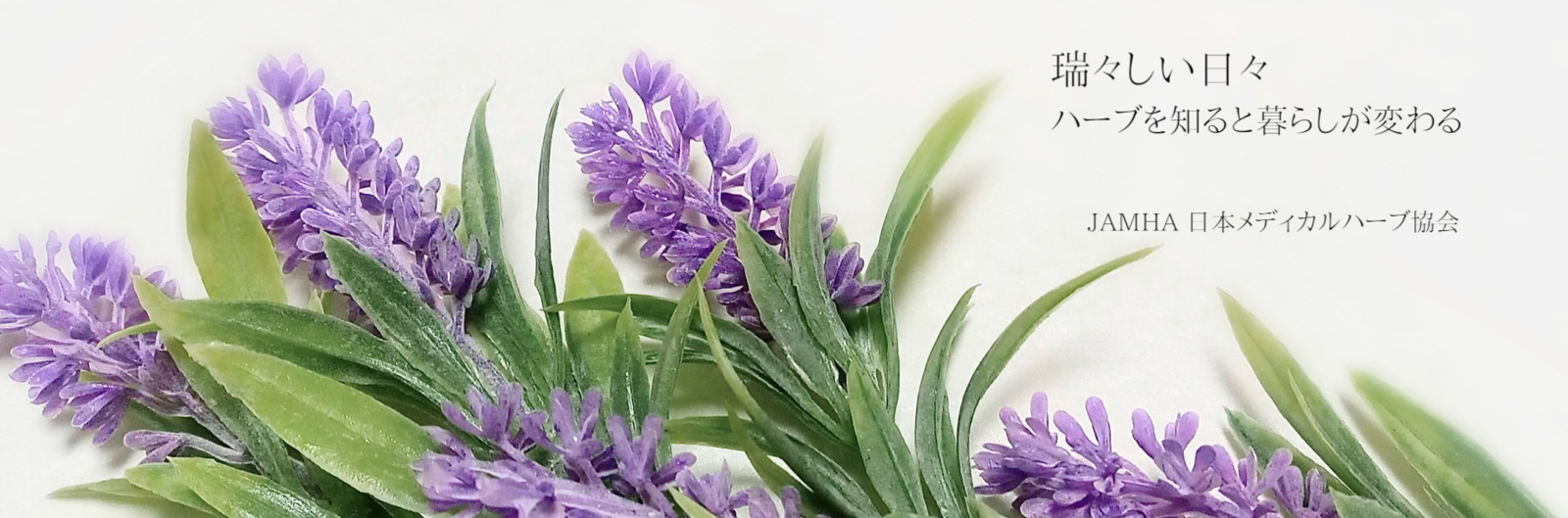 herb5_コピー_コピー