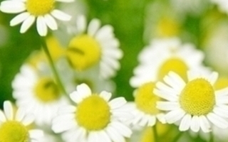 44a2d9e1320ca016eae3d25ed7acbdbe_s_コピー_コピー_コピー_コピー_コピー_コピー_コピー_コピー