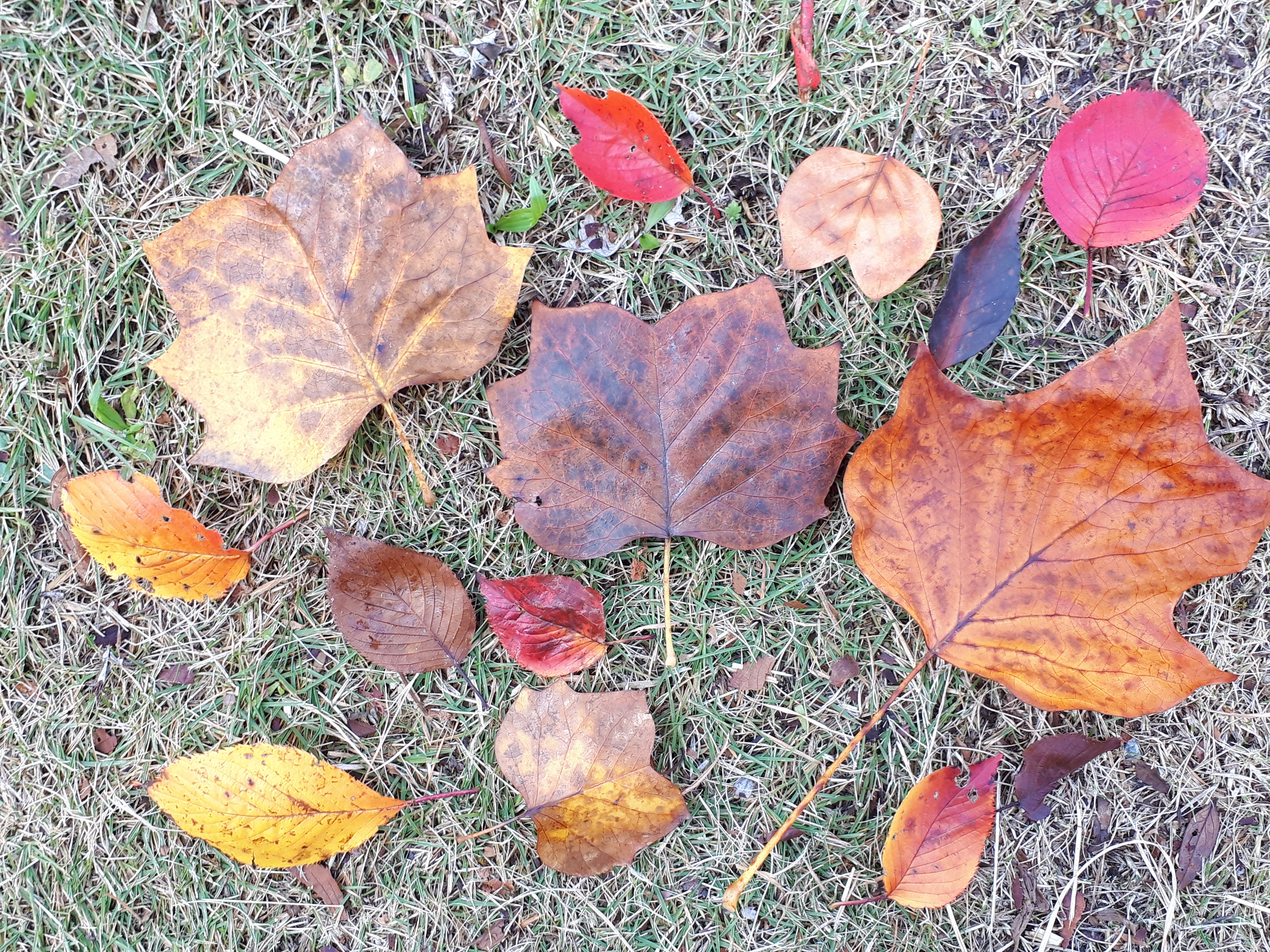 20201103_110632