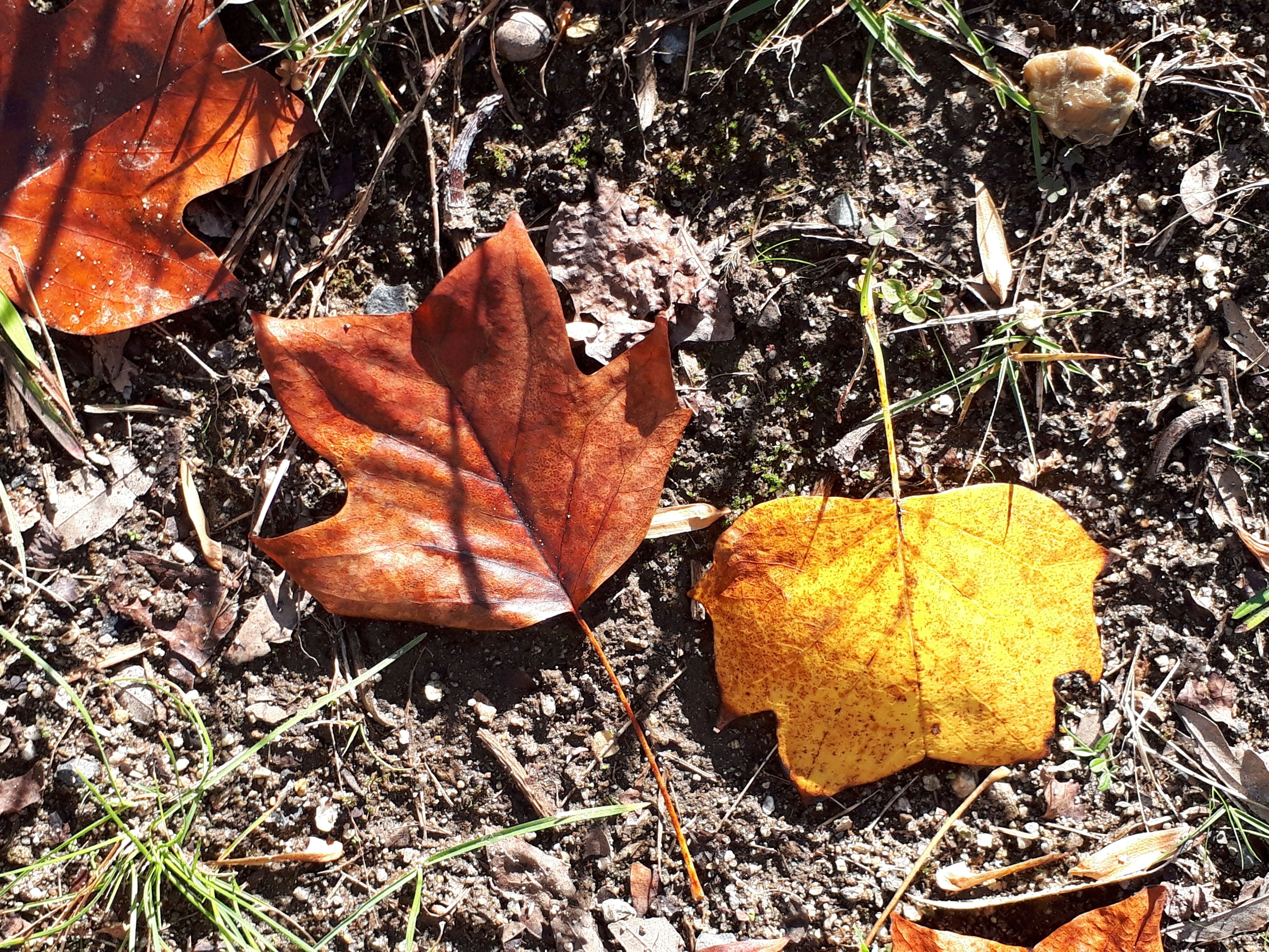 20201103_112358